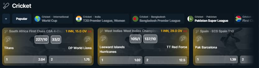 Rajabets Cricket Betting